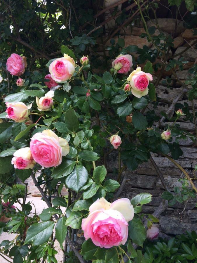 Le Couvent Bed and Breakfast Saint-Jean-de-Laur Εξωτερικό φωτογραφία